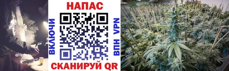 Каннабис AK-47  Томари 